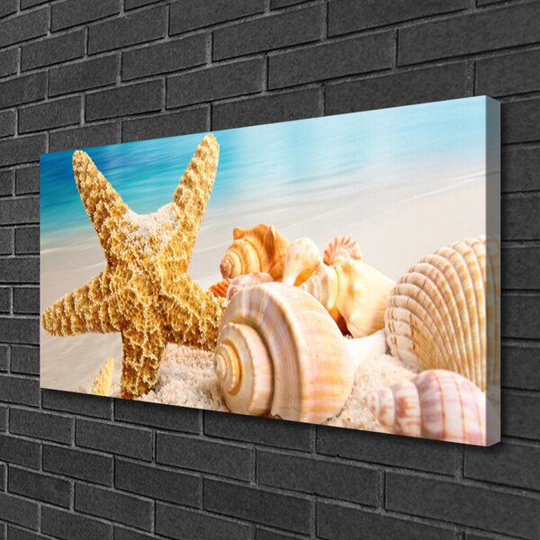Tablou pe panza canvas Scoici Starfish Art alb galben