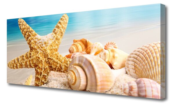 Tablou pe panza canvas Scoici Starfish Art alb galben