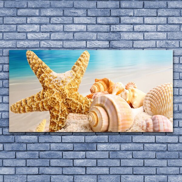 Tablou pe sticla Scoici Starfish Art alb galben