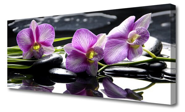 Tablou pe panza canvas Pietrele florale flori roz negru