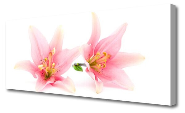 Tablou pe panza canvas Flori roz Floral