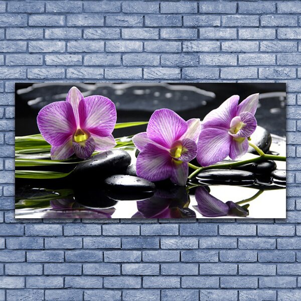 Tablou pe sticla Pietrele florale flori roz negru