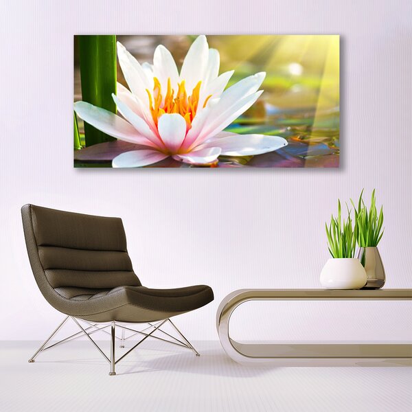 Tablou pe panza canvas Flori Floral Alb Roz