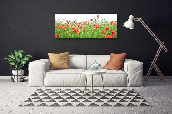Tablou pe panza canvas Maci Natura Roșu Verde