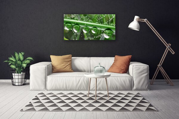 Tablou pe panza canvas Spider Web Dewdrops Floral alb