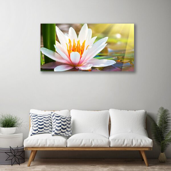 Tablou pe panza canvas Flori Floral Alb Roz