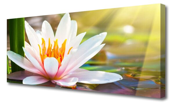 Tablou pe panza canvas Flori Floral Alb Roz