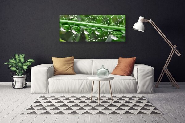 Tablou pe panza canvas Spider Web Dewdrops Floral alb