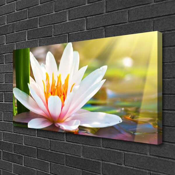 Tablou pe panza canvas Flori Floral Alb Roz