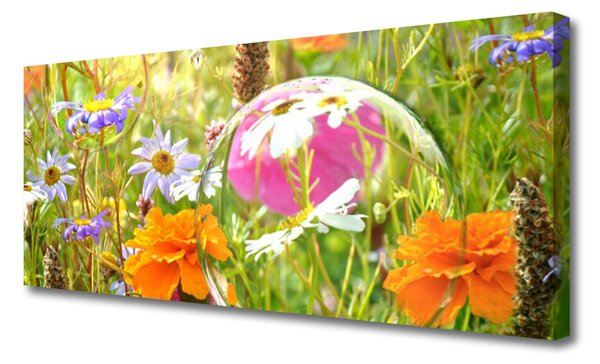 Tablou pe panza canvas Flori Natura Multi