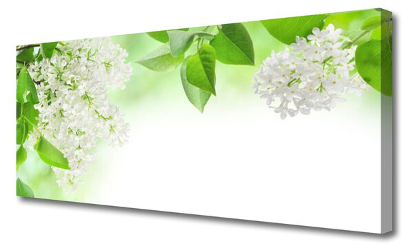 Tablou pe panza canvas Petale Floral Alb Verde