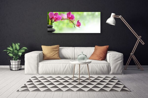 Tablou pe panza canvas Pietrele florale flori Roșu Negru