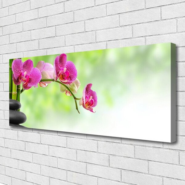 Tablou pe panza canvas Pietrele florale flori Roșu Negru