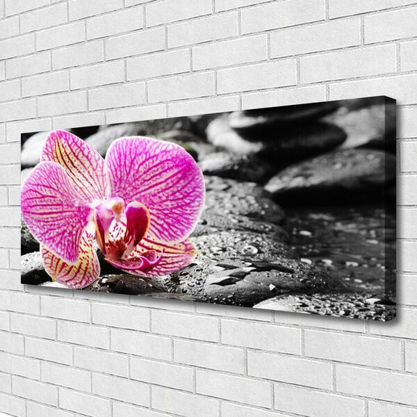 Tablou pe panza canvas Pietrele florale flori roz negru