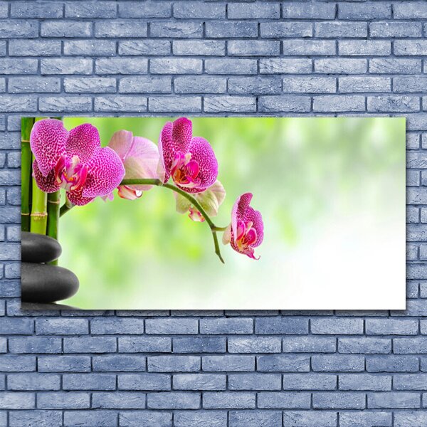 Tablou pe panza canvas Pietrele florale flori Roșu Negru