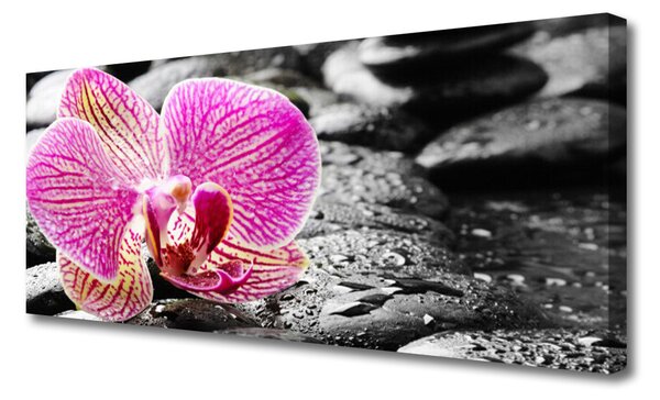 Tablou pe panza canvas Pietrele florale flori roz negru