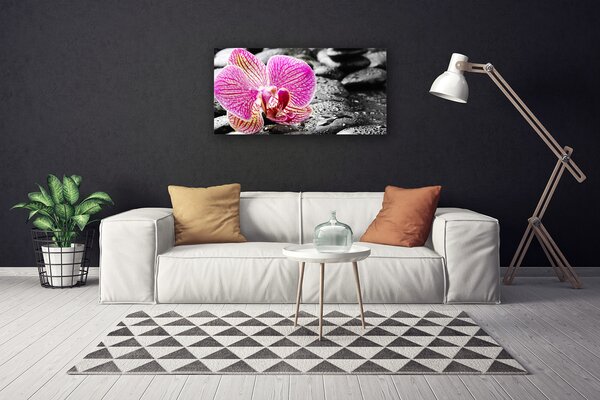 Tablou pe panza canvas Pietrele florale flori roz negru