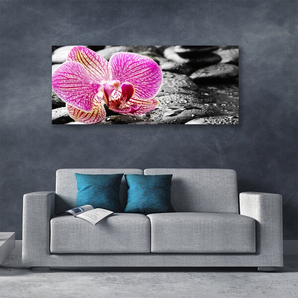 Tablou pe panza canvas Pietrele florale flori roz negru