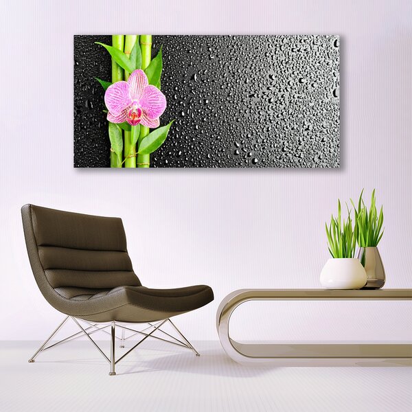 Tablouri acrilice Bamboo peduncul Floral Roz Verde