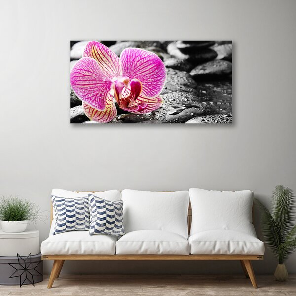 Tablou pe panza canvas Pietrele florale flori roz negru