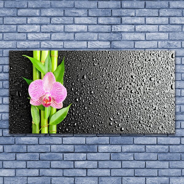 Tablouri acrilice Bamboo peduncul Floral Roz Verde