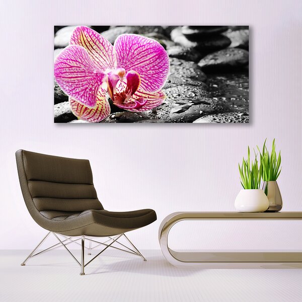 Tablou pe panza canvas Pietrele florale flori roz negru