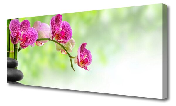 Tablou pe panza canvas Pietrele florale flori Roșu Negru