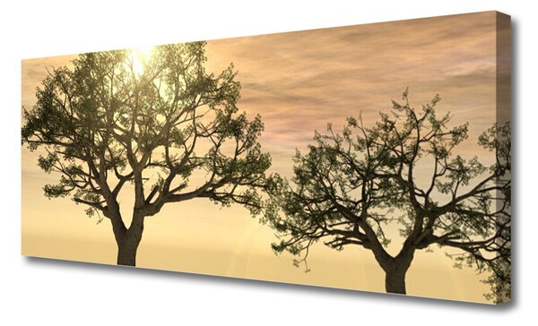 Tablou pe panza canvas Copaci Natura Brun Verde