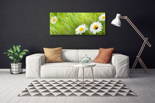 Tablou pe panza canvas Iarbă Margarete Natura Alb Verde