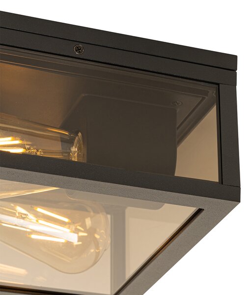 Plafoniera neagra cu sticla fumurie 2 lumini IP44 - Charlois