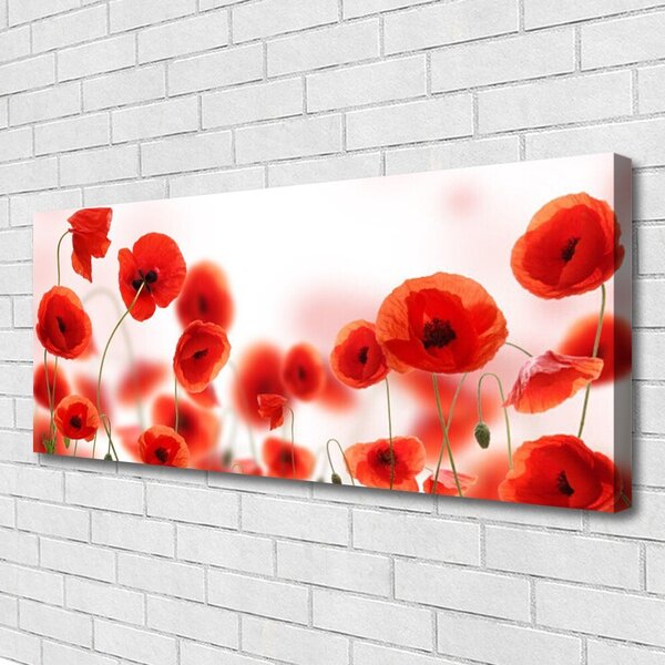 Tablou pe panza canvas Maci Floral Roșu Verde