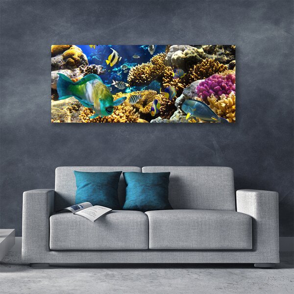 Tablou pe panza canvas Coral Reef Natura Multi