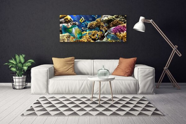 Tablou pe panza canvas Coral Reef Natura Multi