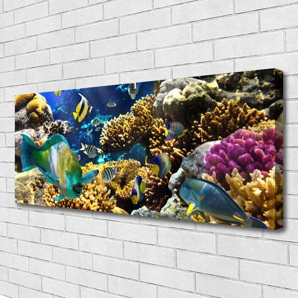 Tablou pe panza canvas Coral Reef Natura Multi