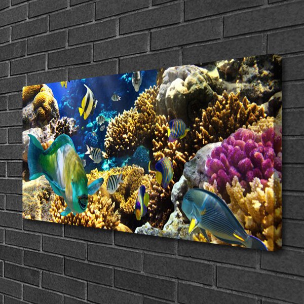 Tablou pe panza canvas Coral Reef Natura Multi