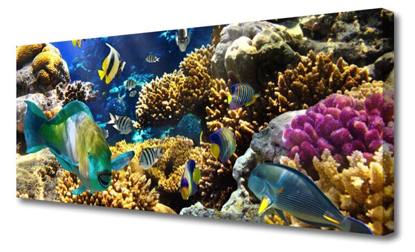 Tablou pe panza canvas Coral Reef Natura Multi