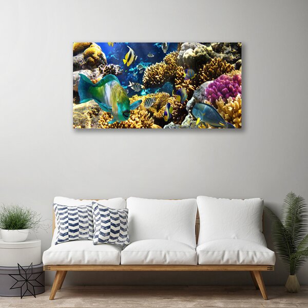 Tablou pe panza canvas Coral Reef Natura Multi