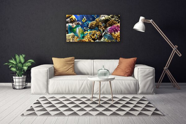 Tablou pe panza canvas Coral Reef Natura Multi