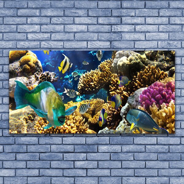 Tablouri acrilice Coral Reef Natura Multi