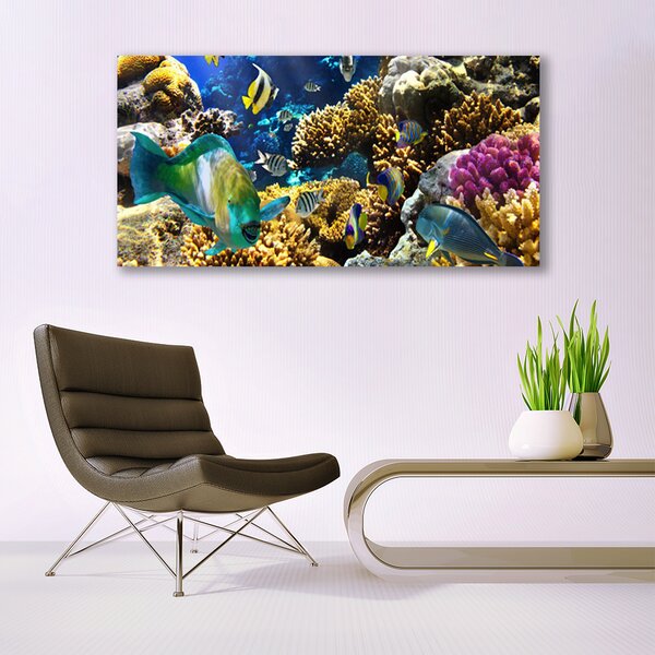 Tablouri acrilice Coral Reef Natura Multi