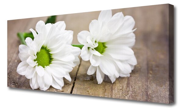 Tablou pe panza canvas Flori Floral Alb Verde