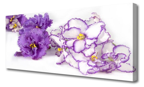 Tablou pe panza canvas Flori Floral Violet Alb