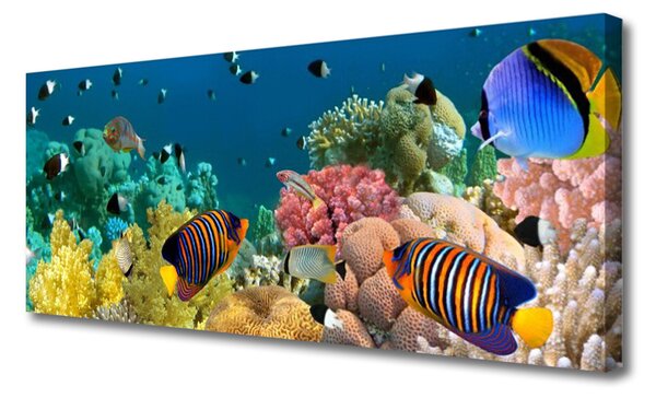 Tablou pe panza canvas Coral Reef Natura Multi