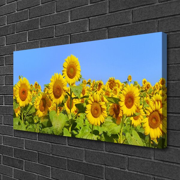 Tablou pe panza canvas Floarea soarelui Floral Galben Verde