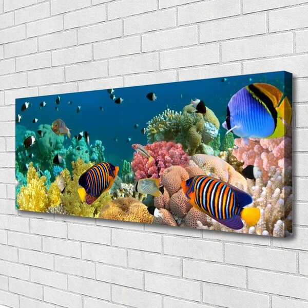 Tablou pe panza canvas Coral Reef Natura Multi