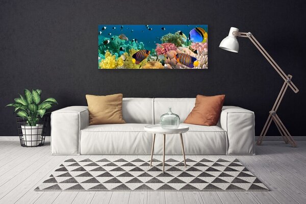 Tablou pe panza canvas Coral Reef Natura Multi