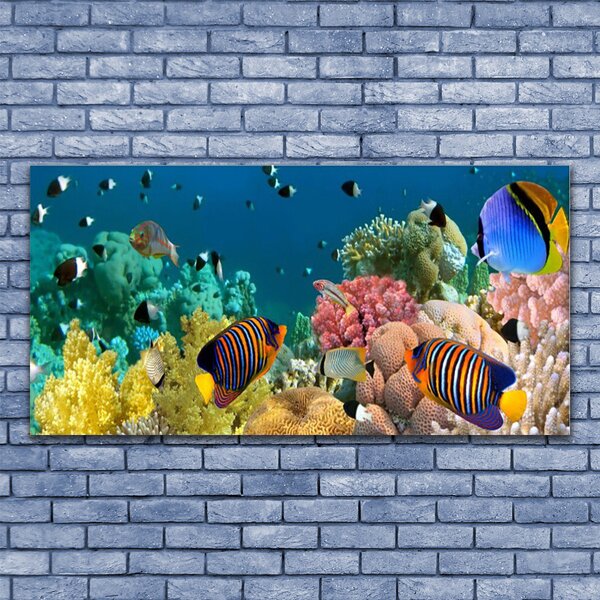Tablou pe panza canvas Coral Reef Natura Multi