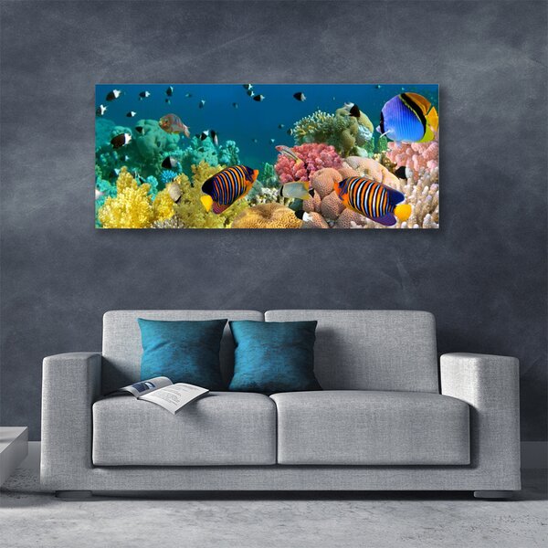 Tablou pe panza canvas Coral Reef Natura Multi