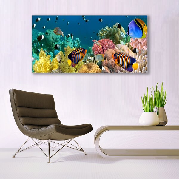 Tablou pe panza canvas Coral Reef Natura Multi