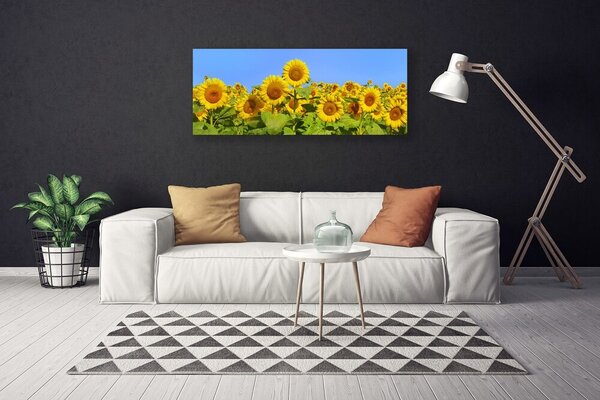 Tablou pe panza canvas Floarea soarelui Floral Galben Verde